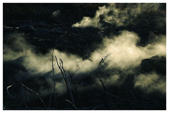 137918667_b16a193f45_o