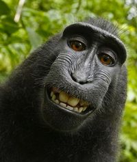 6a00d83451c45669e2014e89b32b94970d-550wi