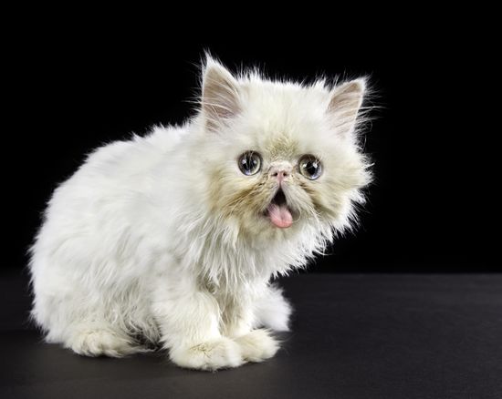 20111007-27533-Edit-Edit