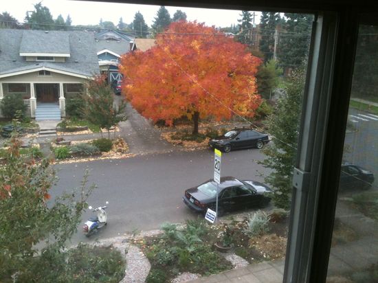 Portland-Oregon-12pm