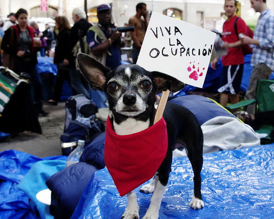 Tumblr_lt9rsmiadB1r4jjeso1_1280