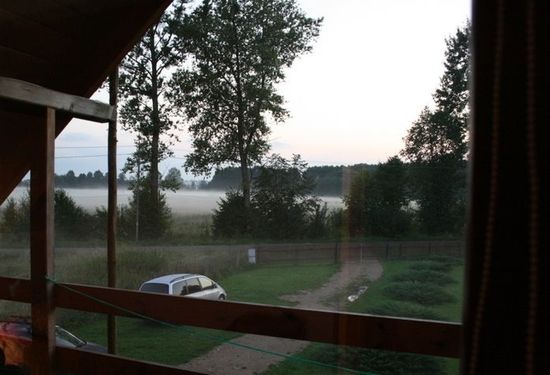 Białowieza-Poland-7pm