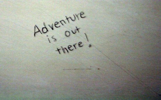 4110340785_f2a337a2dd_b