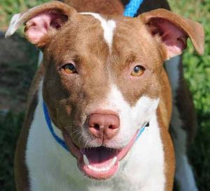 Tumblr_lvw8z32no51qha7ju