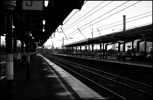 324227865_972a0c1dd0 324227865_972a0c1dd0