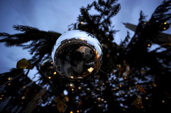 GT_VATICANTREE_111220