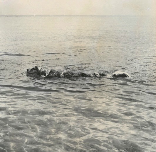 6344082182_33a7c0b292_o