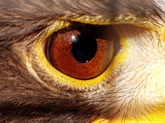 2277549976_59d13c2c0d_o