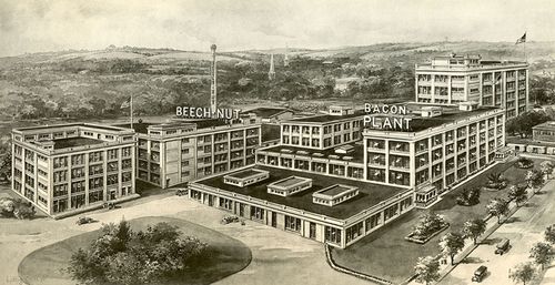 13_beechnutplant_lrg