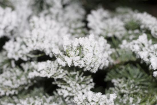 2085673986_1e7e03de05_o 2085673986_1e7e03de05_o