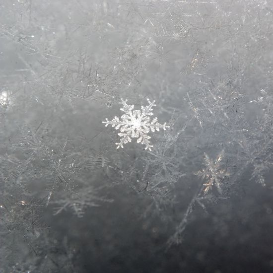 361650027_c849075719_b