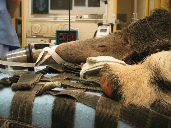 76396287_9f182eac94_b