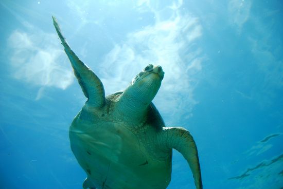 3863907931_d418b06e42_b