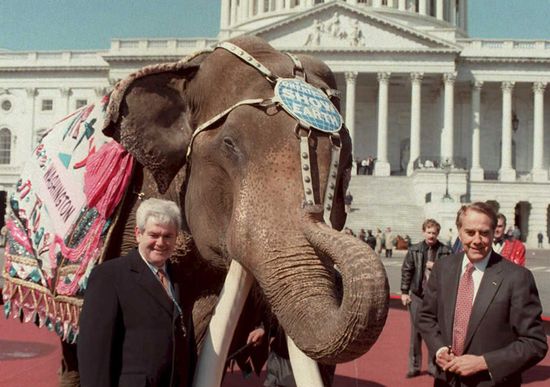 GT_GINGRICHDOLE_120127