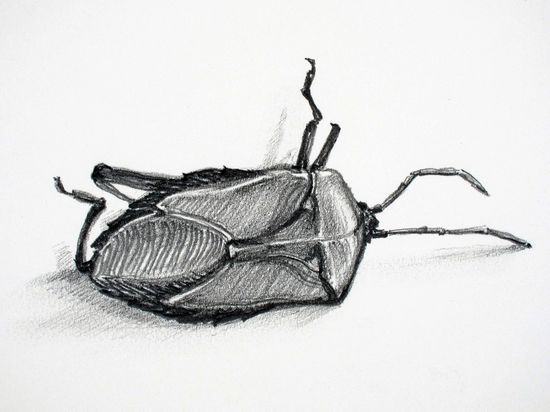 4249385501_fd1e885aac_b