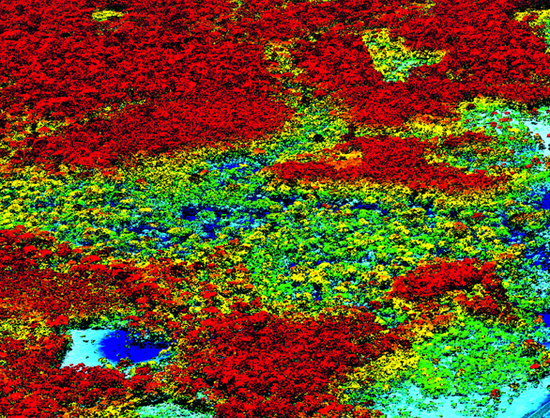 Screen shot 2012-02-22 at 2.17.40 PM Screen shot 2012-02-22 at 2.17.40 PM