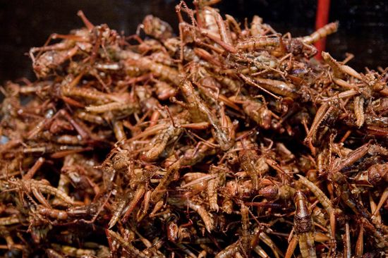 3294157199_c2447618cb_o