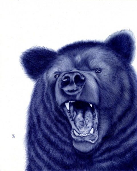Bear