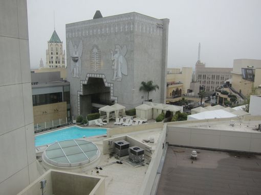 Oscar morning-thumb-510x382-45055