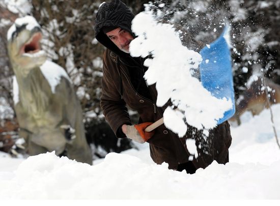 GT_FACE-RAPTOR-120208