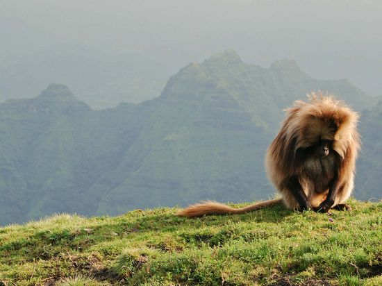 5154035593_ab2cdb96cc_b (1) 5154035593_ab2cdb96cc_b (1)