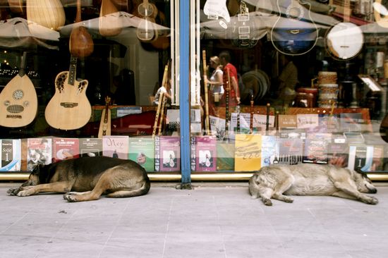 3668513284_e271b7429d_b