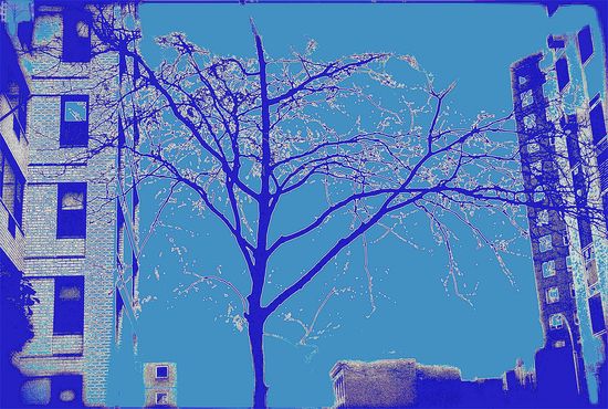 3652287326_8e2018e70d_b