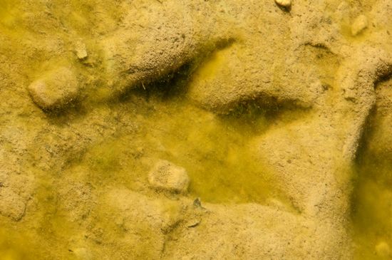 5283399859_99ce53bd4f_b