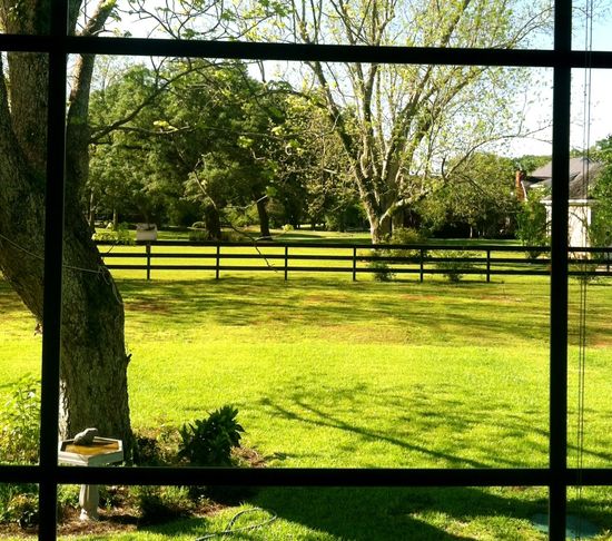 Grand Bay, Alabama 940 am