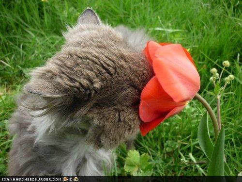 Db465cb3-c269-402b-8e30-c8eaa298e36e