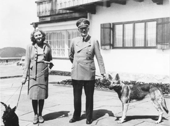 Hitlerdogs