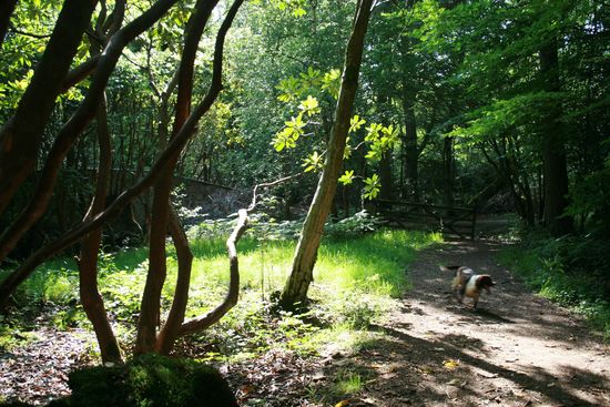 6a00d83451c45669e20154337876f5970c-550wi 6a00d83451c45669e20154337876f5970c-550wi