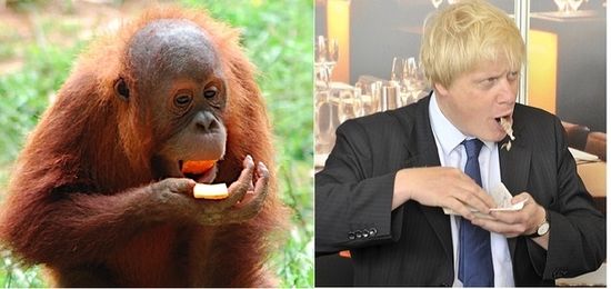 Enhanced-buzz-31835-1335979618-1 Enhanced-buzz-31835-1335979618-1