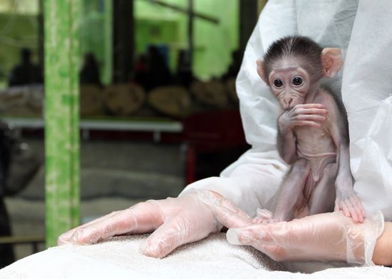 Baby_Money Baby_Money