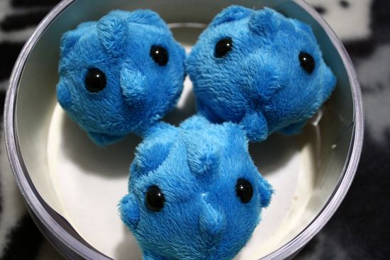 4334144802_b45726a170_b