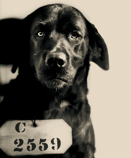 Screen shot 2012-06-29 at 9.39.43 AM