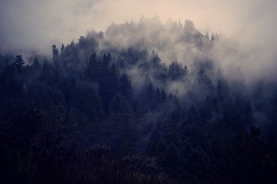 5343330618_e7bd0fbca2_b