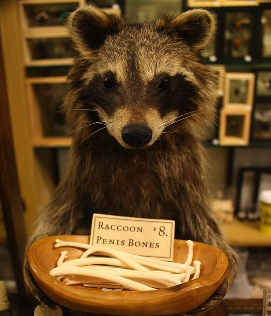 5412236950_585e245235_b 5412236950_585e245235_b