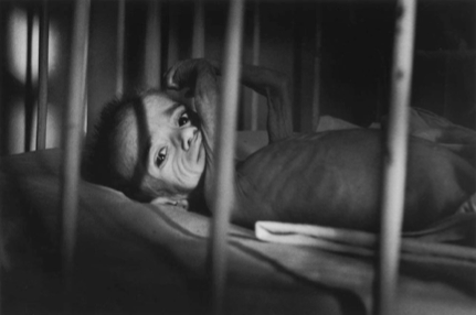 Screen shot 2012-07-25 at 1.52.04 PM Screen shot 2012-07-25 at 1.52.04 PM