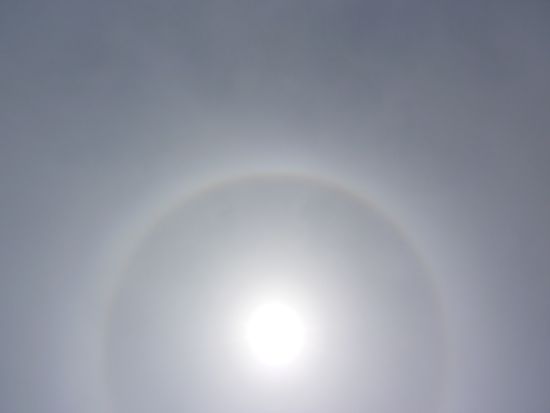 Sunforpoem Sunforpoem