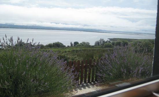 Inch Beach-Ireland-12pm