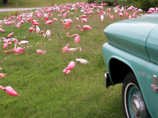 2459455618_e2ac255c42_b