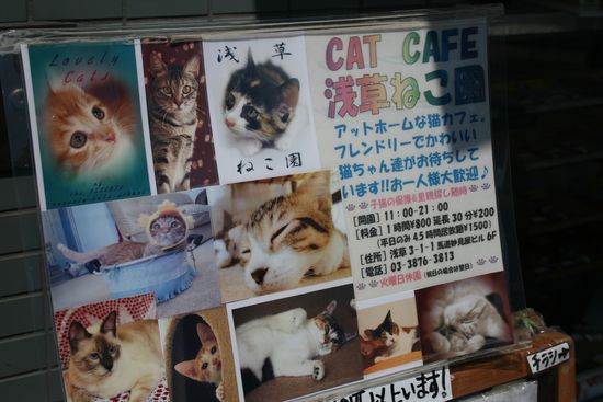 5686158811_7b48140874_b 5686158811_7b48140874_b