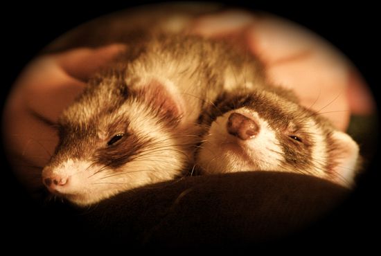 5201035804_cdd2278129_b