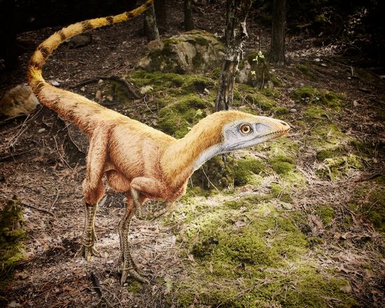 2918440138_d2839cdd8b_o 2918440138_d2839cdd8b_o