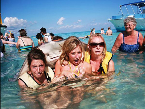 Stingray-photobomb Stingray-photobomb