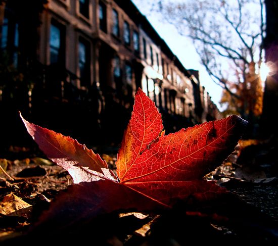 3015973268_6a05841dc0_b