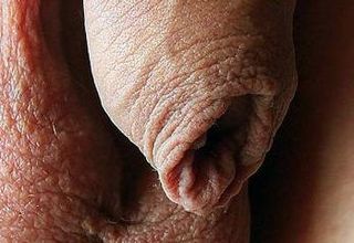 Flaccid_penis_shaved