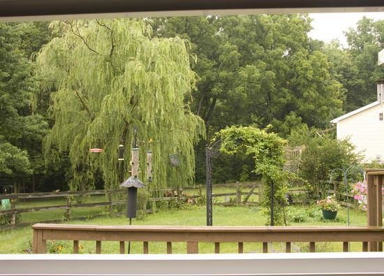 Columbus-Ohio-1115am