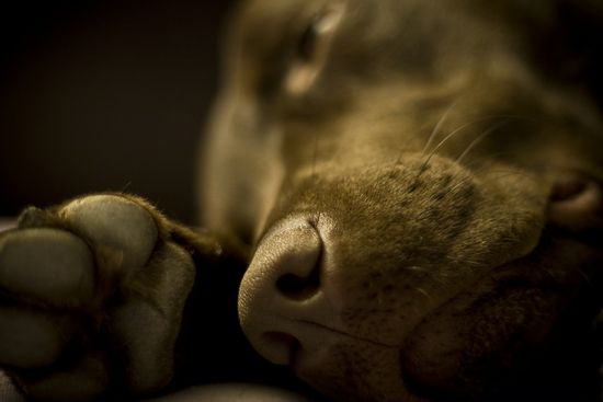 3090710256_b46445ea9f_b (1)